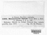 Image Associated With the Occurence